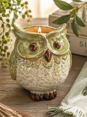 Ceramic Owl Tealight Candle Holder Celadon Green Rustic Decor NIB
